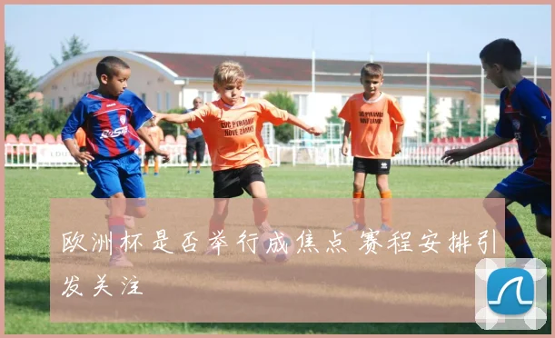 欧洲杯是否举行成焦点 赛程安排引发关注