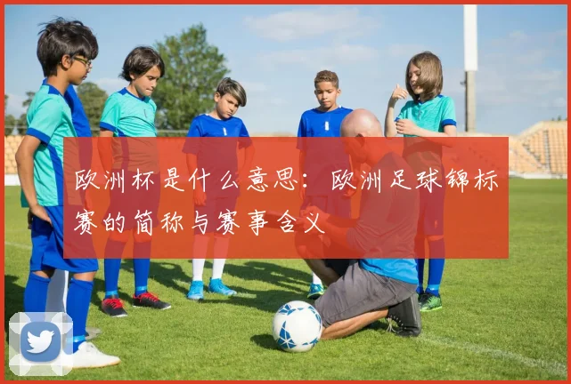 欧洲杯是什么意思：欧洲足球锦标赛的简称与赛事含义