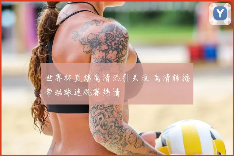 世界杯直播高清流引关注 高清转播带动球迷观赛热情