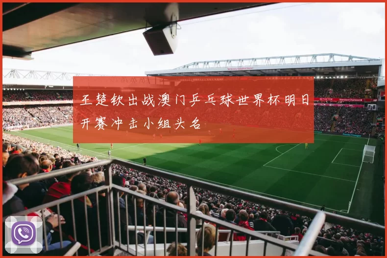 王楚钦出战澳门乒乓球世界杯明日开赛冲击小组头名