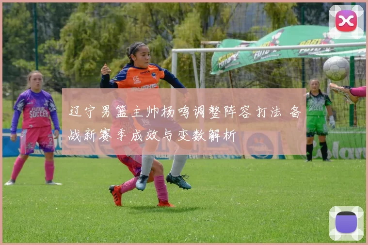 辽宁男篮主帅杨鸣调整阵容打法 备战新赛季成效与变数解析