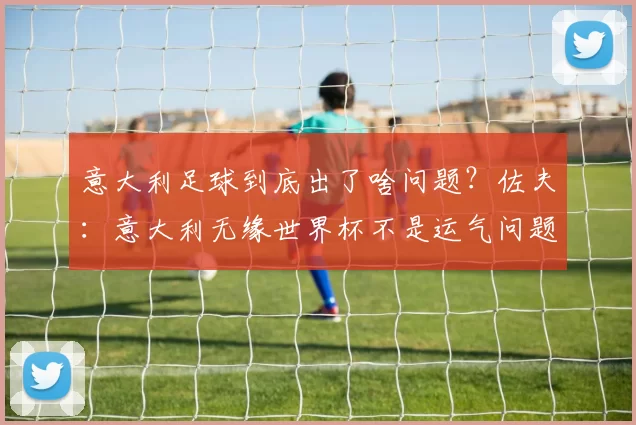 意大利足球到底出了啥问题？佐夫：意大利无缘世界杯不是运气问题，青训联赛全得反思_球员_欧冠_国米